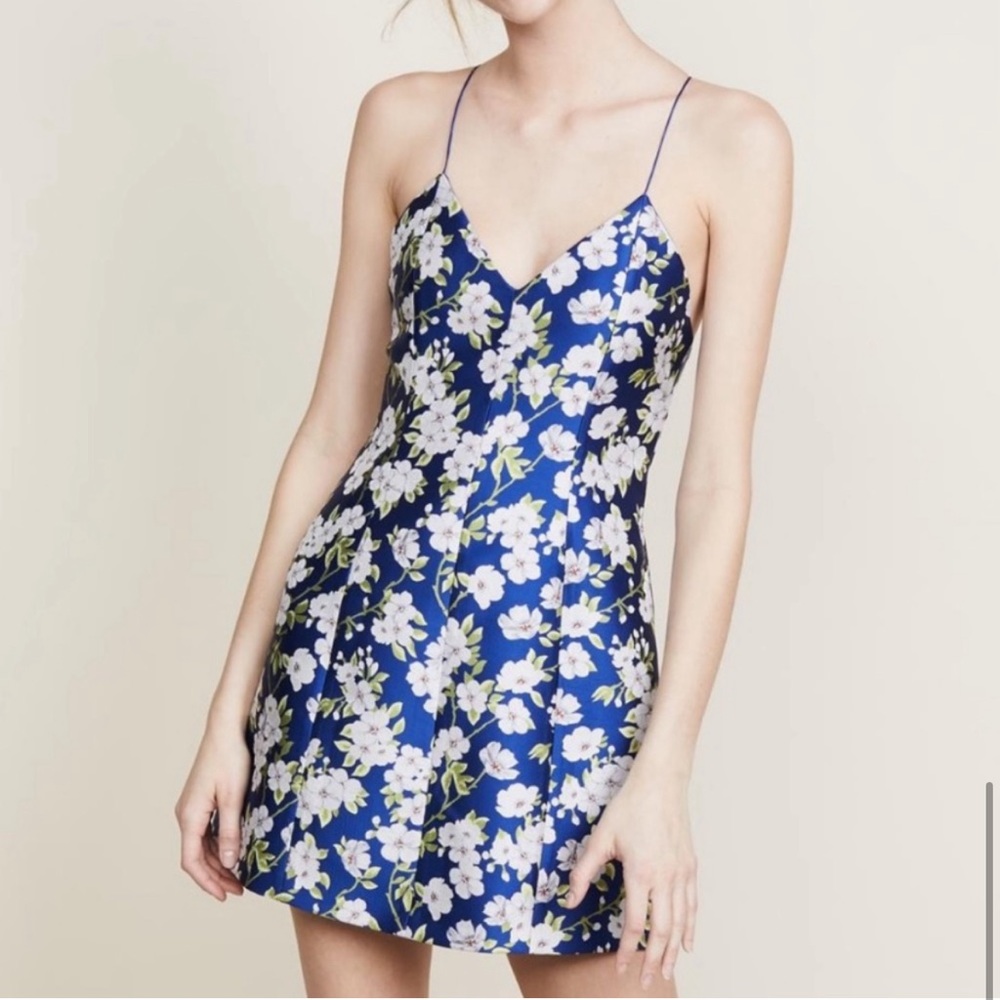 COPY - Alice & Olivia Dress